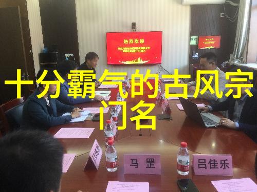 武术学习指南适合自学的武术从基础到高级技巧