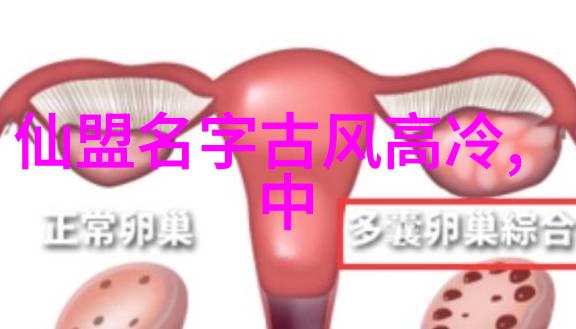 学習武術套路拳法需要多長時間才能達到一定水平呢