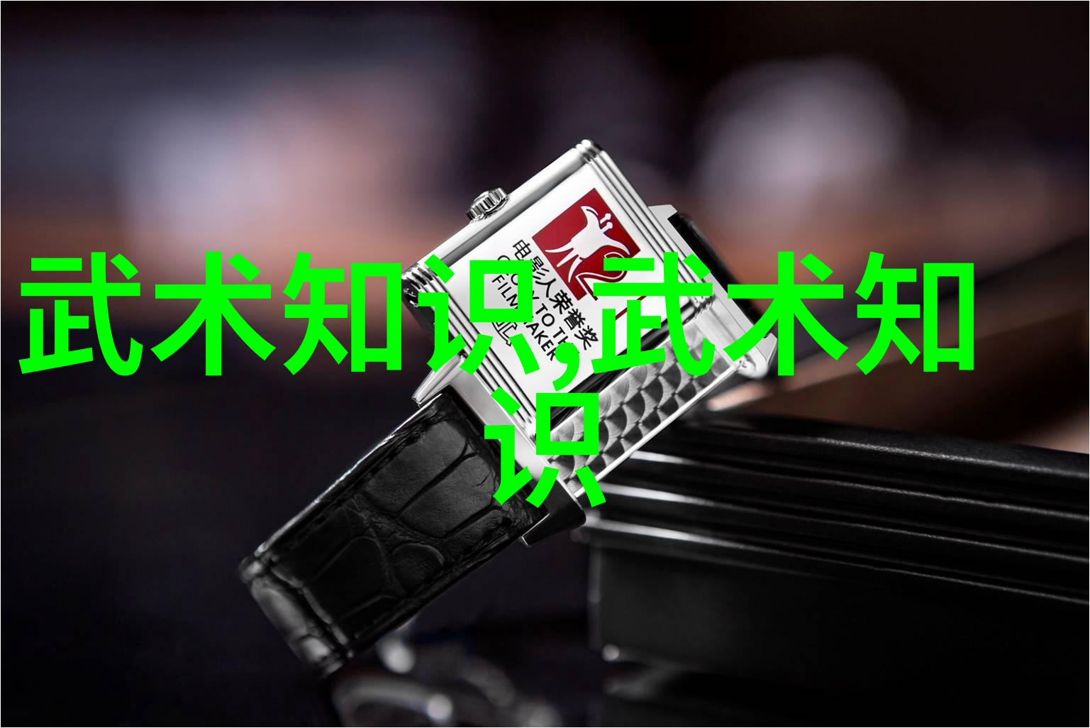 中国功夫秘籍大全解析 Wing Chun 的精髓技巧
