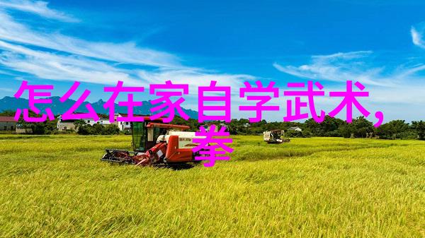 神明究竟是何许人也如何练就轻功飞跃九天