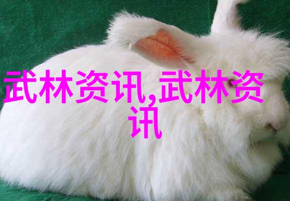 内家秘笈探索中国武术功夫秘籍的教学艺术与实践
