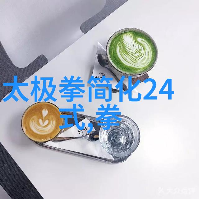 揭秘中国武术秘籍书太极拳五关挑战雷生霖指引你掌握内外兼修之道