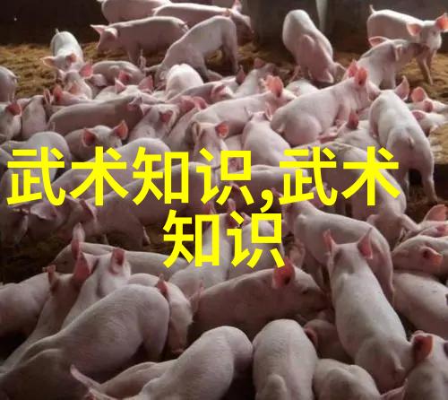 揭秘武林之巅全国129个门派名单大全解析