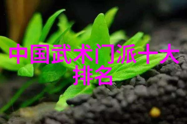 从散手到架势如何选择适合自己的武术基础课程