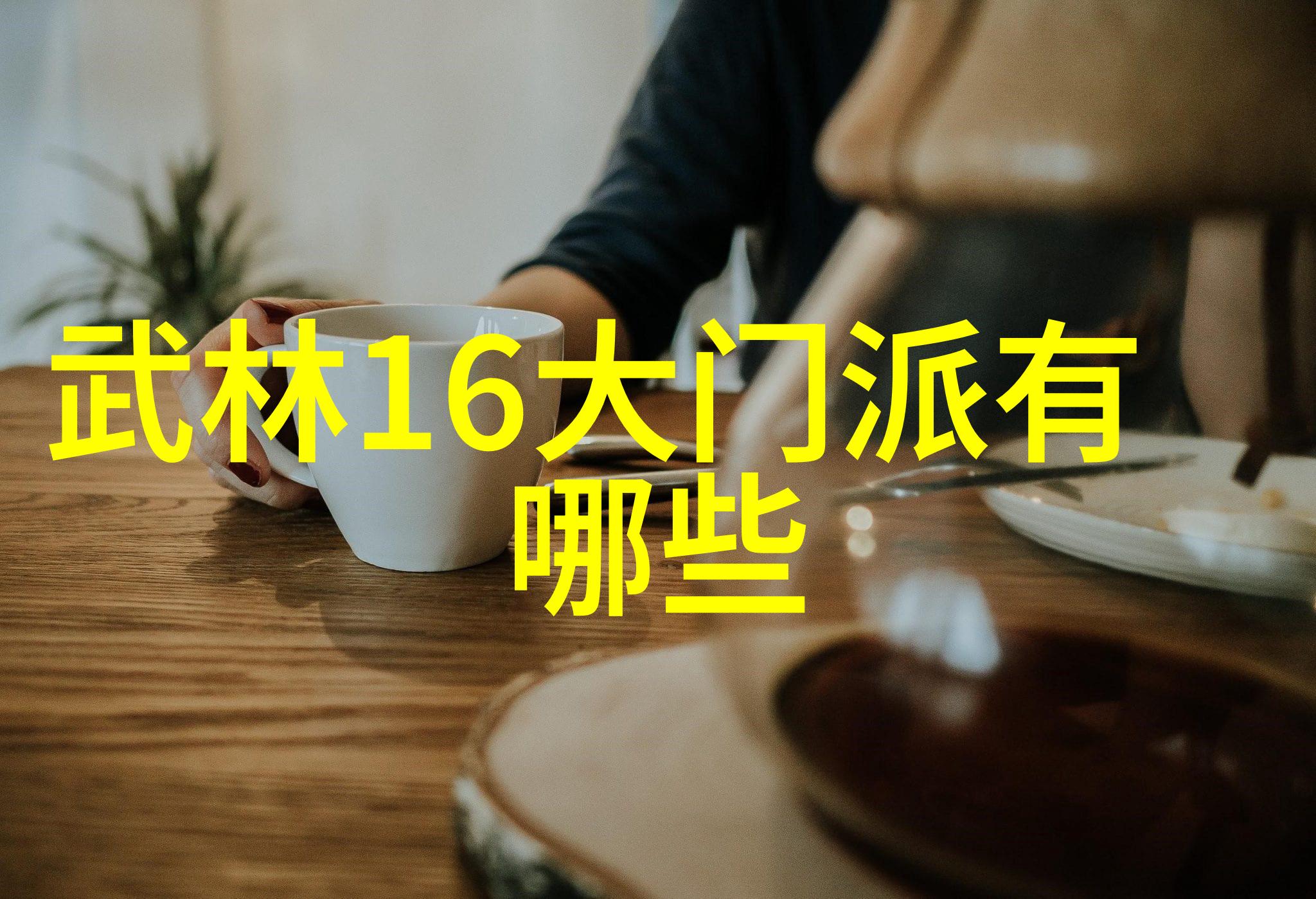 中华武林秘籍揭秘拳法之冠
