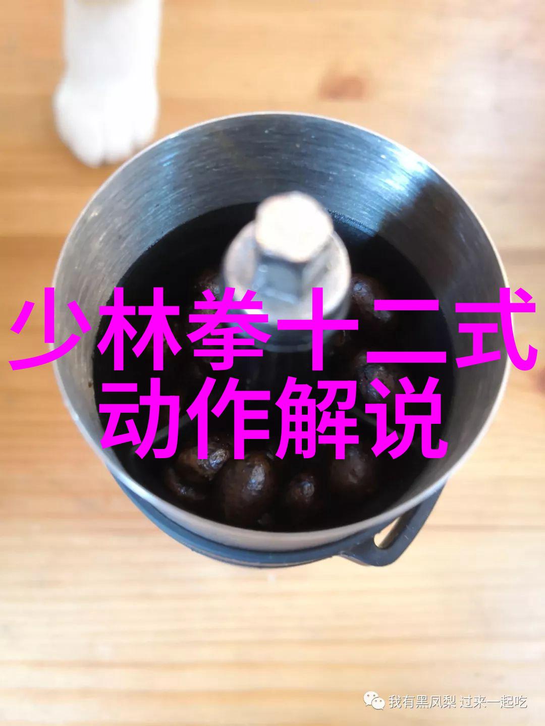 重生末世之喂养在废墟中寻找新生的希望