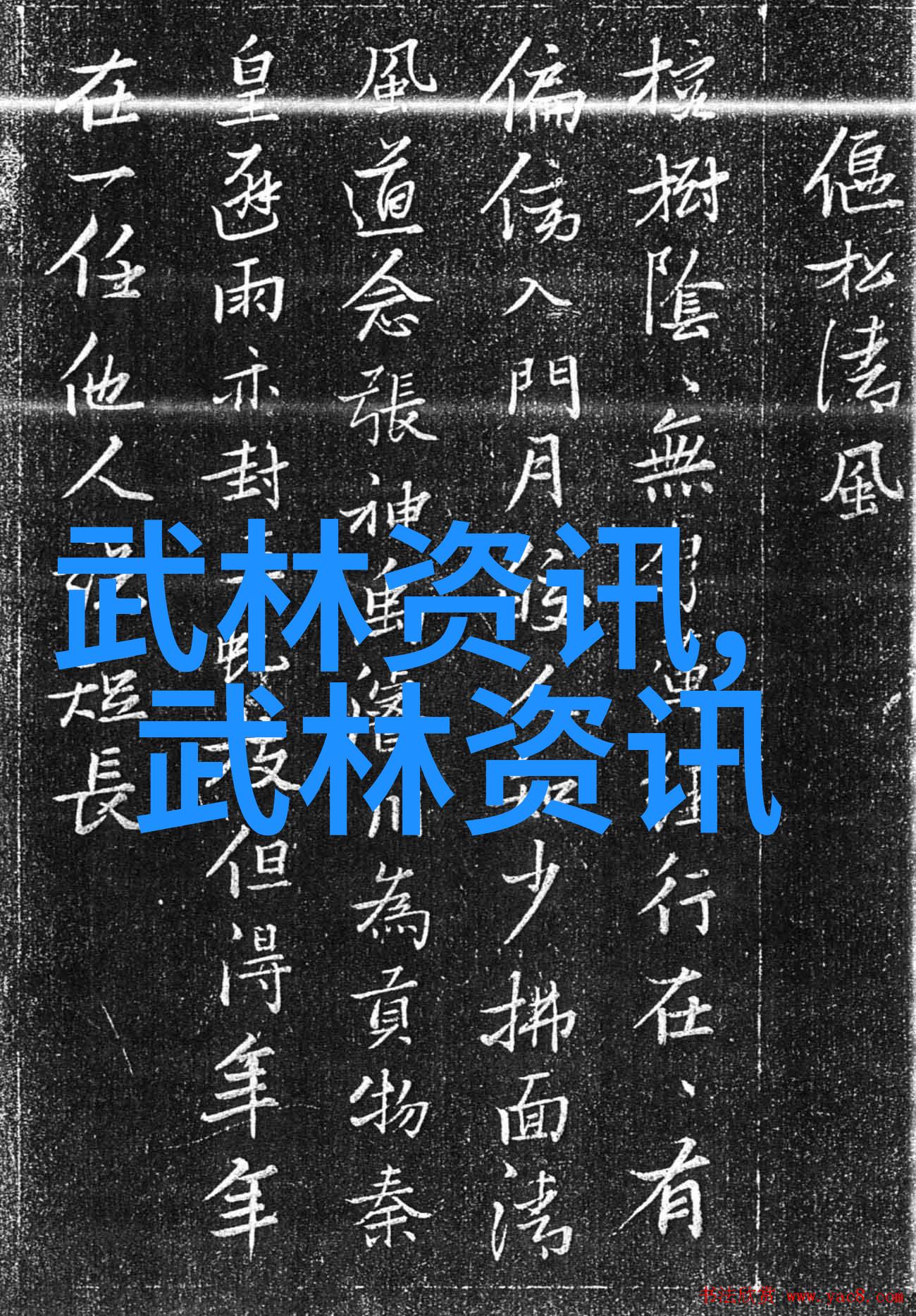 中国十大剑法秘籍揭秘太极拳推手走粘技巧-张宝银
