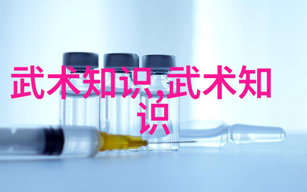 武术教程-精通24式太极拳口令掌握传统武学的全套指南