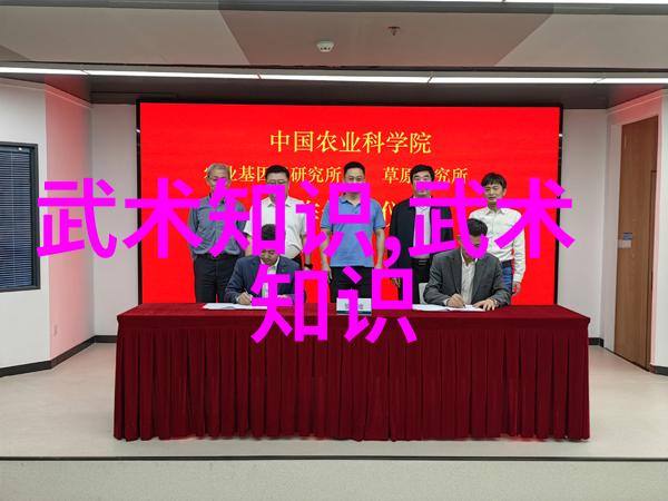拳法与哲学中国十大拳术中蕴含的智慧是什么