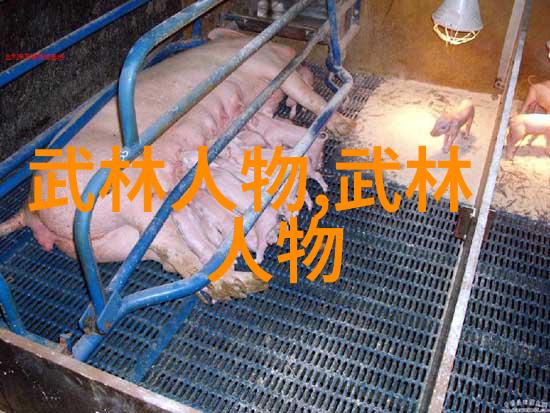 武林十大门派名字龙形太极门在社会中的影响力