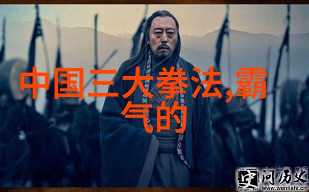 武术初学者必备从基础招式到内功修为