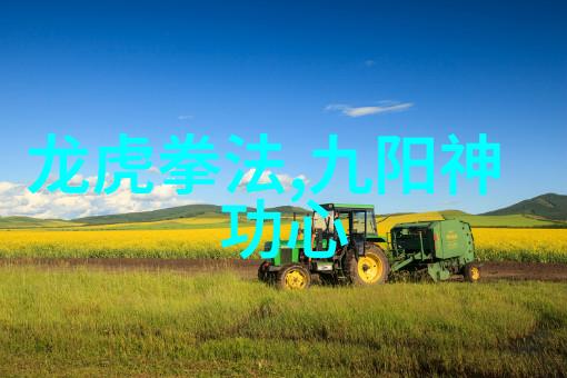 拳击之争南拳与华拳的对决