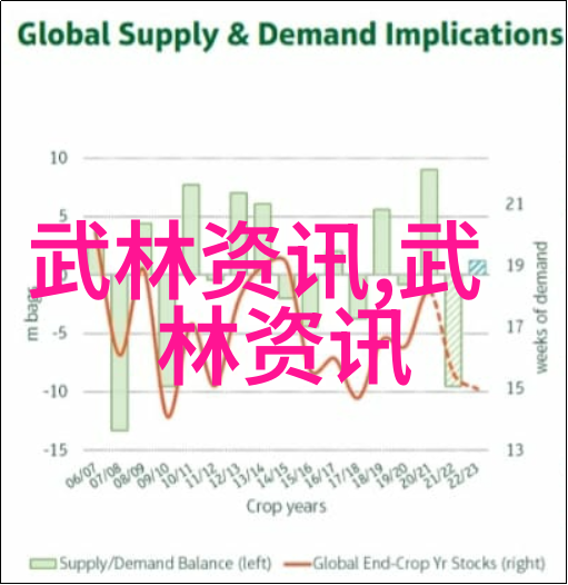 武术自学指南从基础动作到实战技巧的全过程学习方法