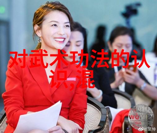 刀光剑影下的智慧东方和西方武学对比