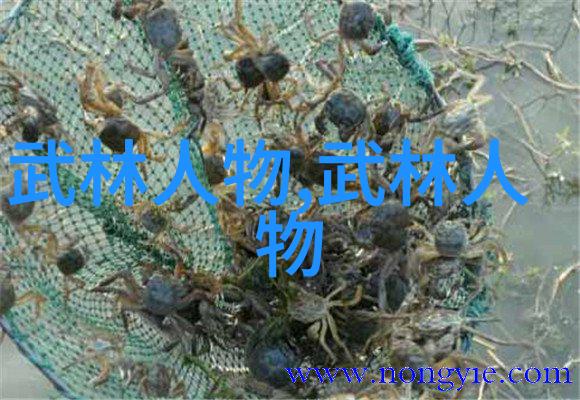 中国武术大PK揭秘十大神功谁最猛