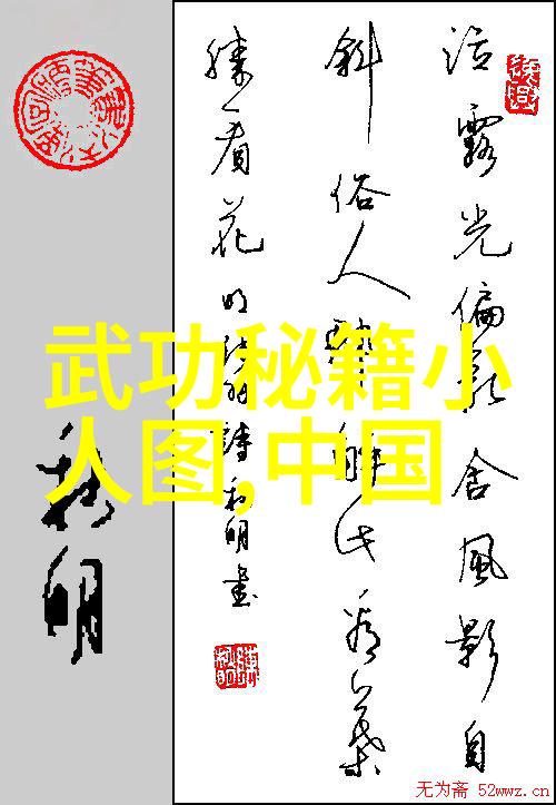 南拳与华拳的较量忽雷太极拳中的秘密传承