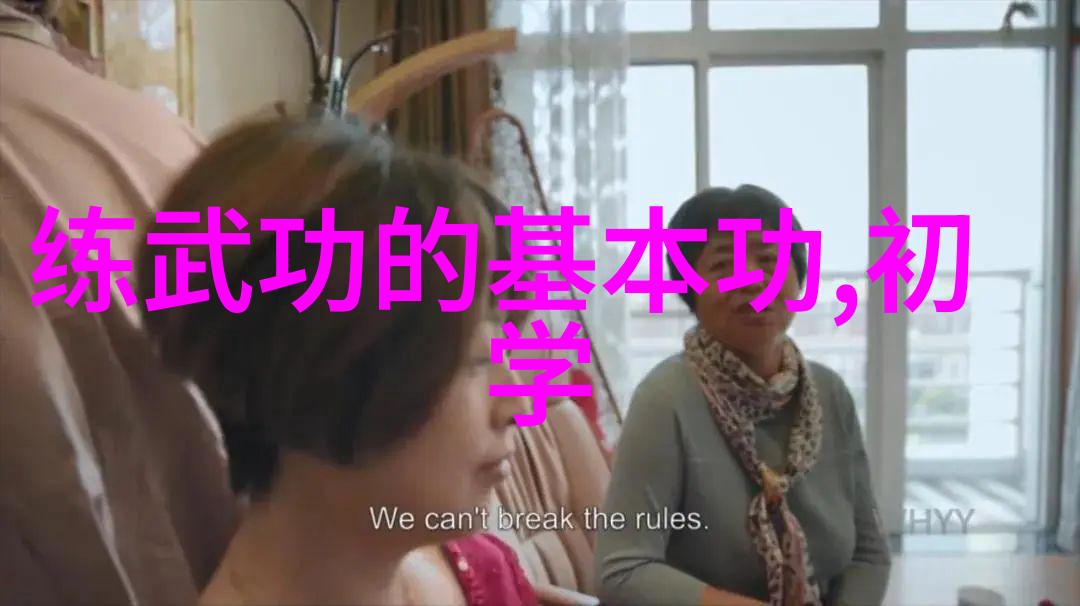 中国功夫秘籍大全我教你打败黑帮的绝招