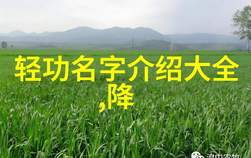 气韵和屁股在太极拳中绘就武功秘籍大全招式拳法画像宛若诗人笔下生动描摹
