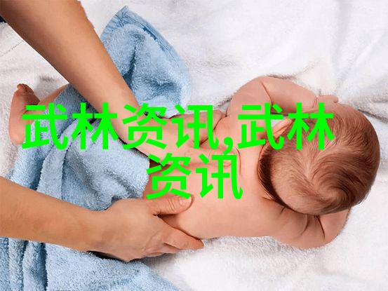 中国武术的巅峰之作探索最为人熟知的内家外派技艺
