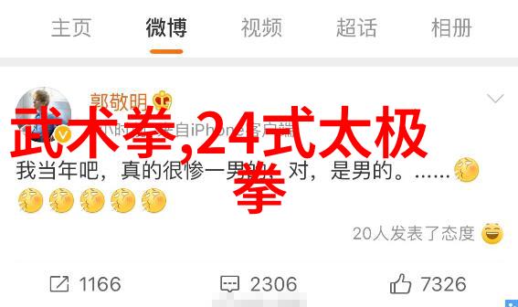 从修炼到演练深入探讨武功与武术的差异