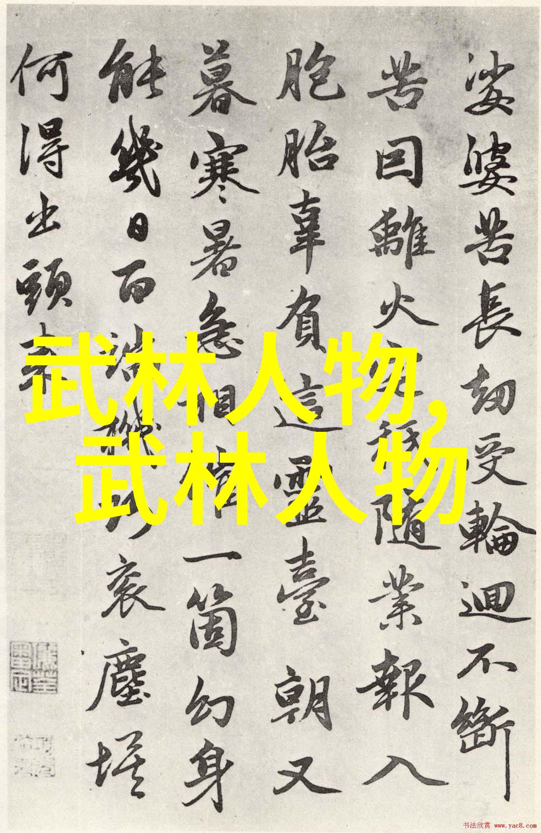 中国功夫拳法大全揭秘武术中的精髓与技巧