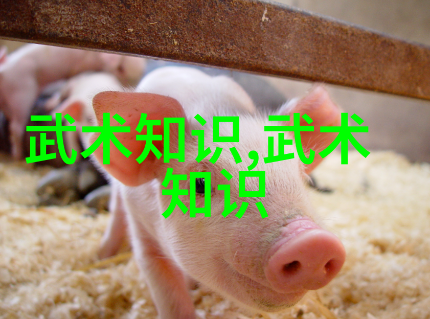 青春的幻灭与重生失乐园的第三章篇章