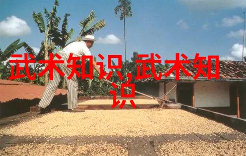 武林传说揭秘实战性最强的十大武术