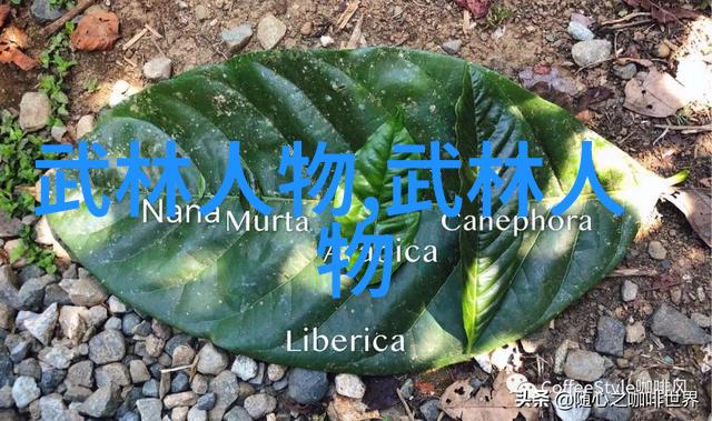 中国功夫中的太极拳猫形步实践方法