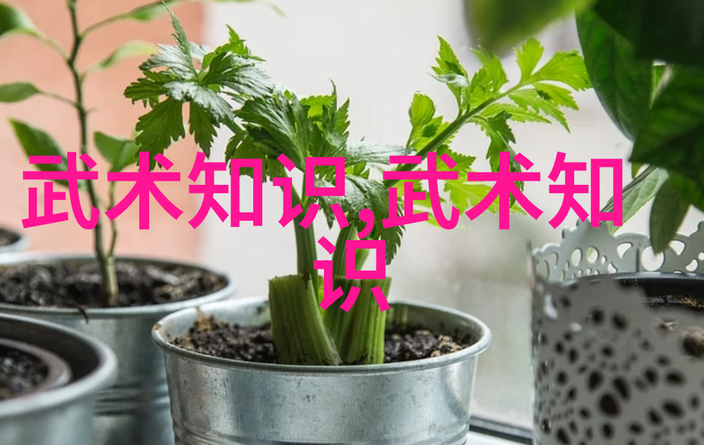 松开掤劲社会武功秘籍图集张志明的传承