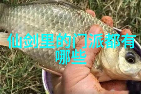 试炼身手中国十大武术实战演练展示