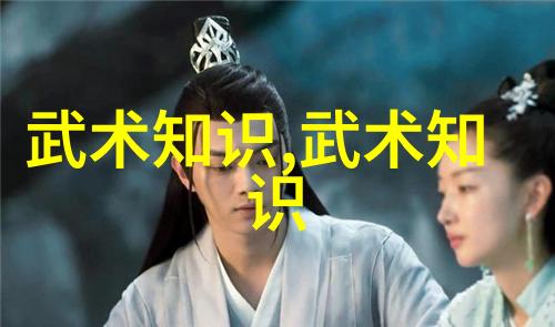 从入门到精通功夫秘籍教程的关键要点