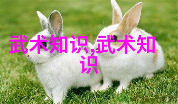 绝境之巅探秘顶级宗门的神秘名字与传说