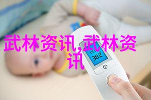 中国社会中的武术门派宗岳太极拳
