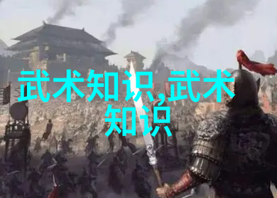 金庸武林奇缘揭秘小说中所有武功名称的精彩