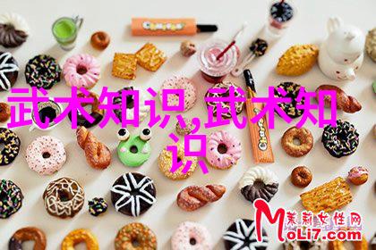 武林秘籍汇编中华拳法之光与影
