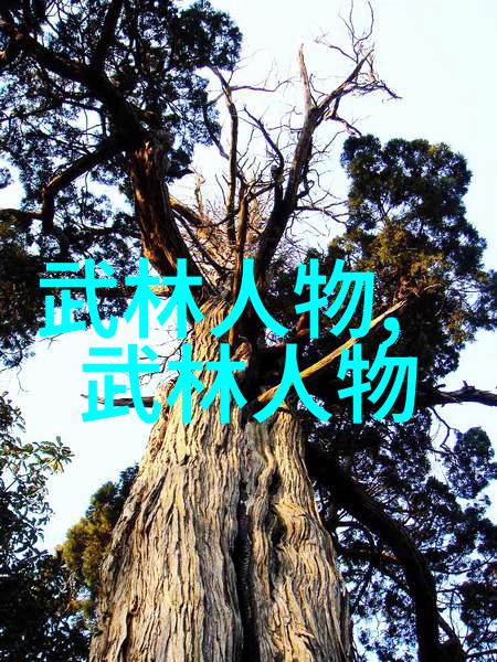 少儿散打武术笑声中学拳脚