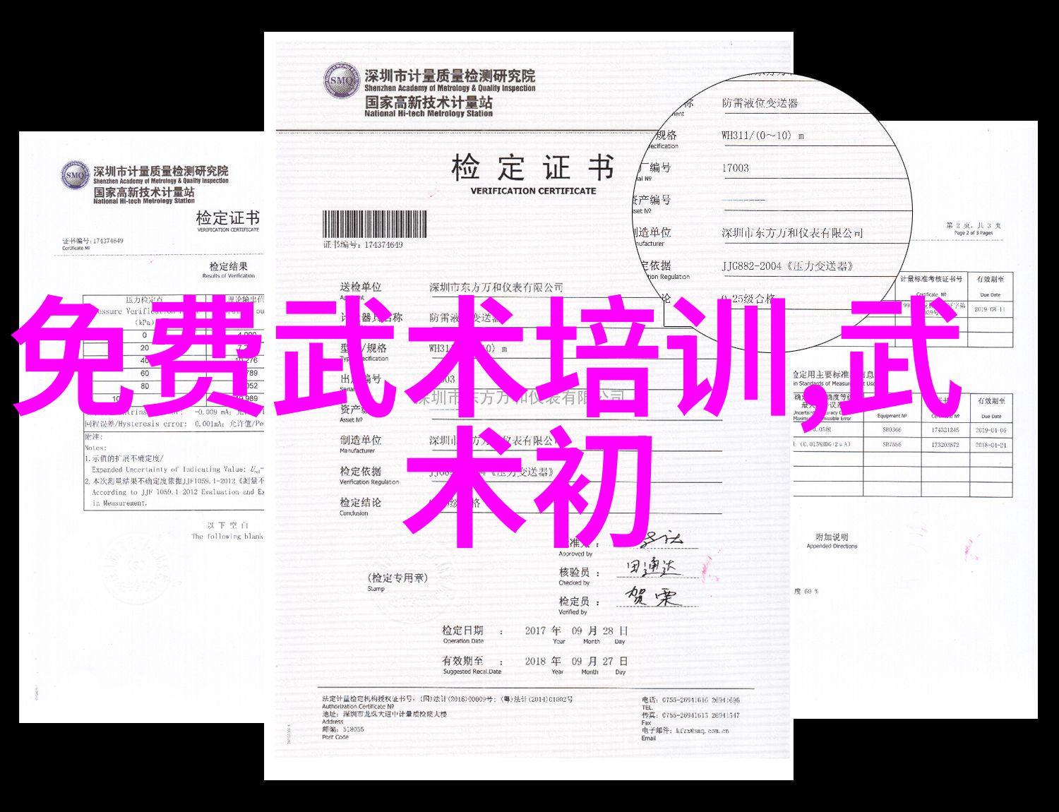南拳华拳谁强赵堡太极拳数据分析