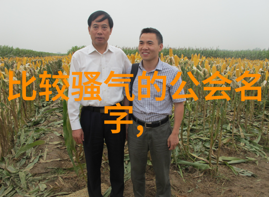 神话与现实交织从古典文学到现代作品每一个清净岛屿的幽深意义