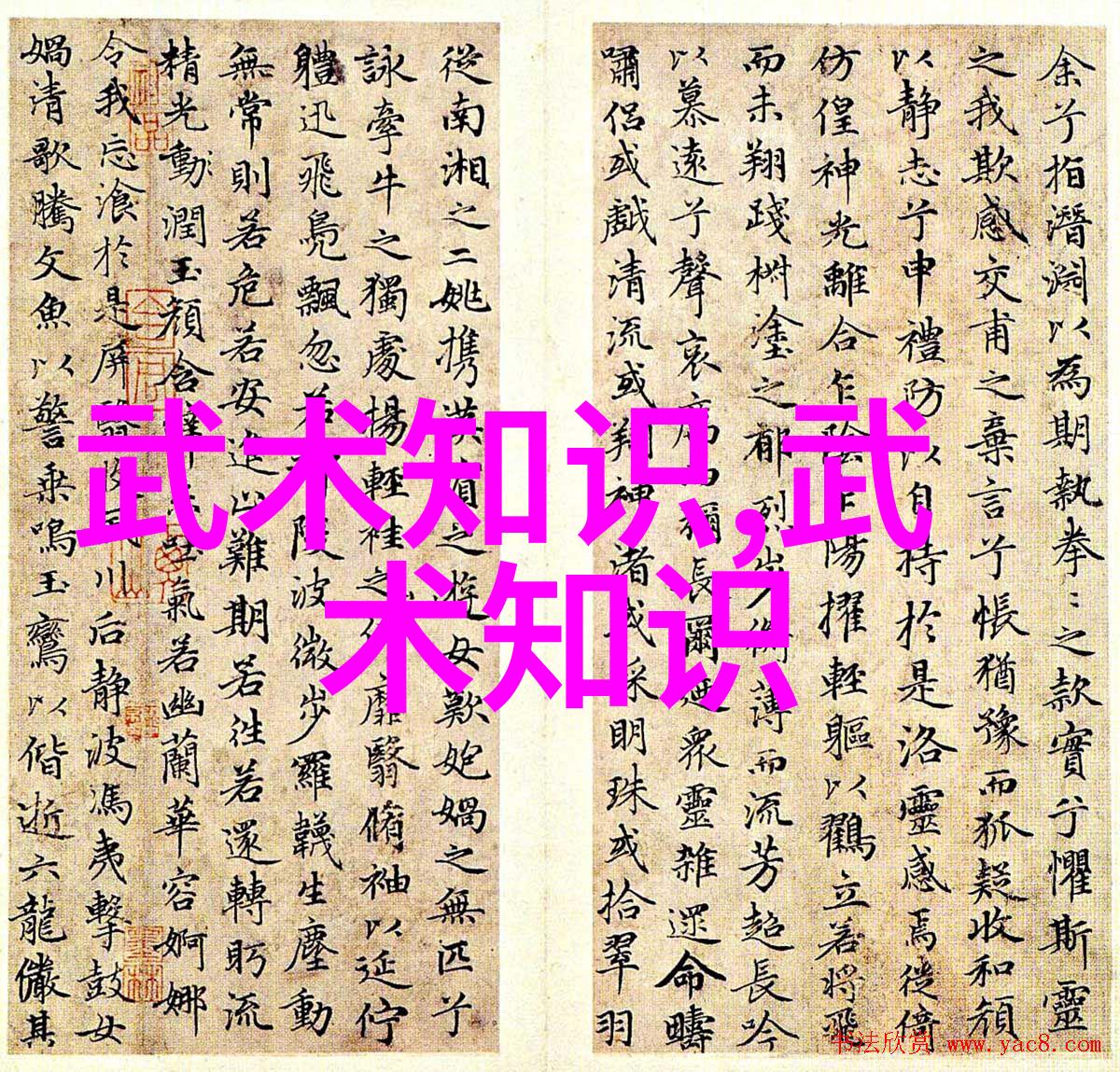 太极流派悠然自得的24式之美