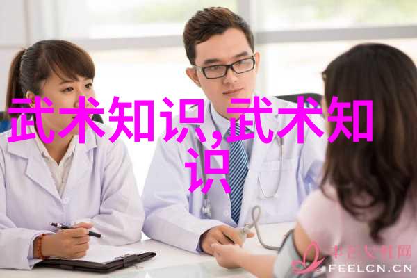 武当松溪神意派乃巅峰之选顶级宗门中最为卓绝的内家拳之流