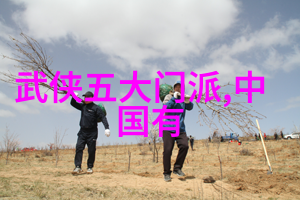 中华武林秘籍揭秘十大流派的奥义