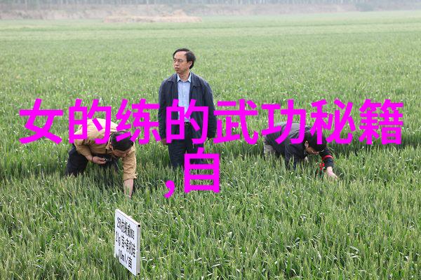 太极拳简化版图解深度解析掌握24式精髓