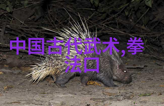 霸气仙盟陈式太极拳