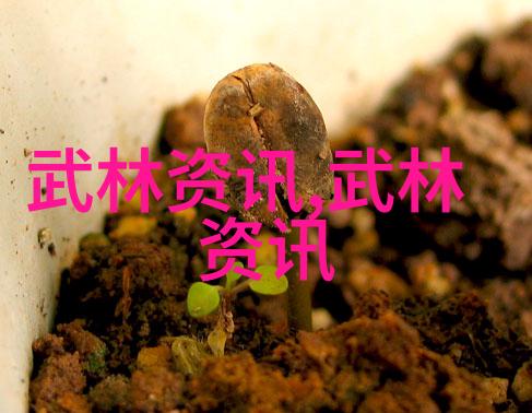 千年美人鱼之谜黑鲳与白鲳哪个更贵