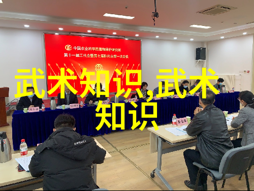 拳剑枪棍解读中国30大武术门派的武器艺术