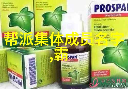 掌门之子怎么称呼-继承人之称探索武侠世界中的掌门之子尊号