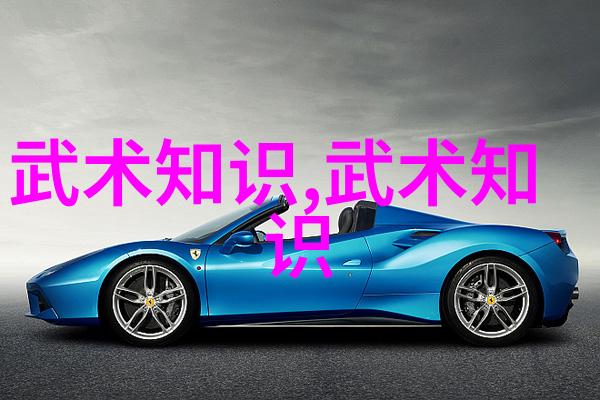 拳法秘籍解锁武林高手的精华之旅