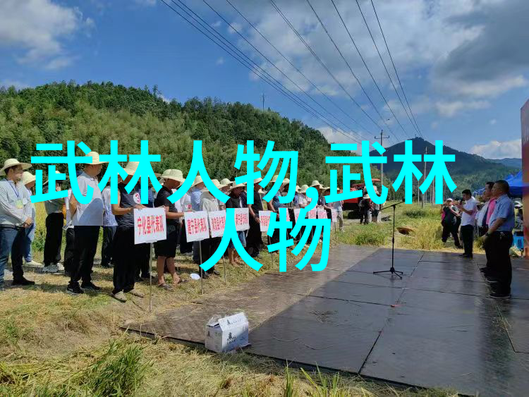 太极拳24式图解自学揭秘内在动态唤醒生命之气