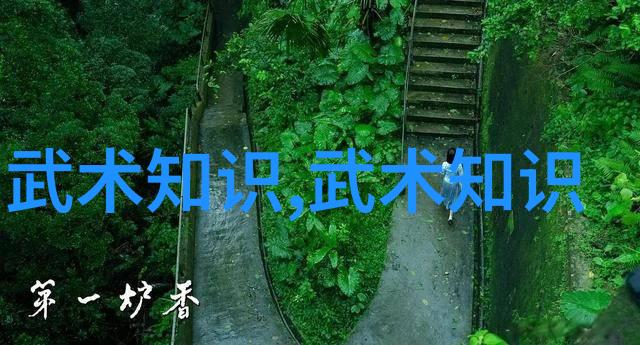 玄幻各种剑法名称大全我是怎么学到的那些超级酷炫的剑法秘籍