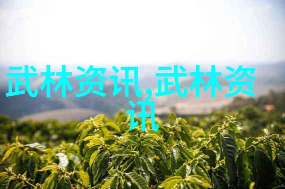 中国武学的巅峰之作探索最强门派的秘密